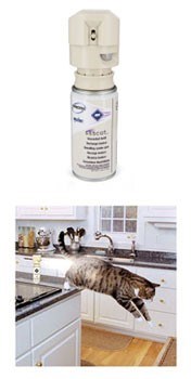 SSSCat Automated Cat Repellent