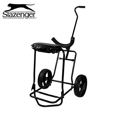 Golf buggy with store seat