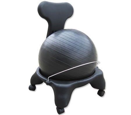 Exercise Gym Balance Ball Chair with Inf