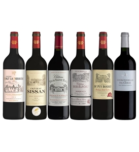 Bordeaux Lover's Mixed Pack (6 x 750mL),