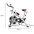 Powertrain Home Gym Flywheel Exercise Spin Bike - Silver
