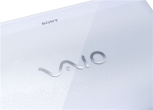 Sony VAIO E Series VPCEB45FGW 15.5 inch 