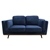 2 Seater Sofa Sofa in Soft Blue Velvet Lounge Set Couch Wooden Frame