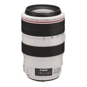 Canon EF 70-300mm f/4-5.6 L IS USM Lens 