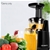 5 Star Chef High Yield Cold Press Slow Juicer - Black