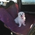 Gizmo Dog Car/Hammock Seat Protector in Red/Blue