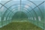 Walk In Greenhouse Tunnel Plant 6M X3M Garden Storage PE Grow Sheds