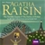 Agatha Raisin: The Terrible Tourist