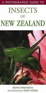 A Photographic Guide to Insects of New Z