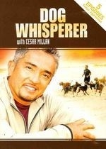 Dog Whisperer With Cesar Millan:aggre