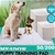 PaWz 400 Pcs 60x60 cm Pet Dog Toilet Training Pads Absorbent Meadow Scent