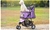 PaWz 3 Wheels Pet Stroller Dog Cat Cage Pushchair Travel Walk Carrier Pram