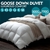 DreamZ 700GSM All Season Goose Down Feather Filling Duvet in Super King
