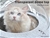 Cat Bed Pet Cave Soft Cushion Igloo Kitten Window Bed Mat House Small Dog