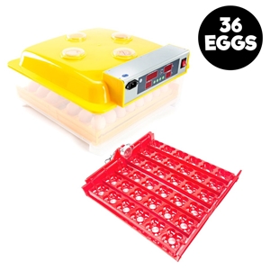 36 Eggs Digital Incubator With Tray