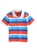 Pumpkin Patch Boy's Block Yarn Dyed Stripe Polo With Embroidered