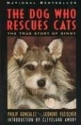 The Dog Who Rescues Cats: True Story of 