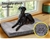 PaWz Pet Bed Foldable Dog Puppy Beds Cushion Pads Soft Plush Cat Pillow XXL