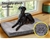 PaWz Pet Bed Foldable Dog Puppy Beds Cushion Pads Soft Plush Cat Pillow XXL