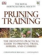 RHS Pruning and Training