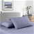 Royal Comfort Bamboo Cooling 2000TC Sheet Set - Single-Lilac Grey