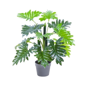 60cm Artificial Philodendron Plant Potte