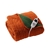 Dreamaker Reversible Sherpa and Coral Fleece Heated Throw - Eden Green