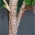SOGA 2X 120cm Artificial Qin Yerong Tree Fake Plant Simulation Décor
