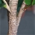 SOGA 155cm Artificial Qin Yerong Tree Fake Plant Simulation Décor