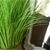 SOGA 2X 110cm Artificial Potted Reed Bulrush Grass Fake Plant Décor