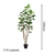 SOGA 4X 180cm Artificial Indoor Pocket Money Tree Fake Plant Simulation