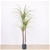 SOGA 145cm Artificial Indoor Dragon Blood Tree Fake Plant Decorative