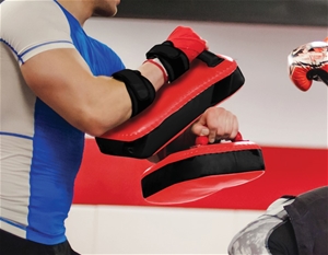 2 x Thai Boxing Punch Focus Pad Mitts Tr