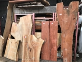 Unreserved - Timber Slabs, Boards and Burls