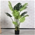 SOGA 80cm Artificial Indoor Potted Turtle Back Fake Tree Flower Pot Plant