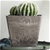 SOGA 27cm Sand Grey Square Resin Plant Pot in Cement Pattern Cachepot