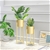 SOGA Reversible Gold Metal 75CM Plant Stand Flower Pot Holders Rack Display