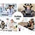 Gaming Chair Lumbar Massage Office Racing Seat PU Leather Gold ALFORDSON