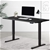Artiss Standing Desk Adjustable Height Electric Motorised Black Frame 120cm