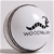 Woodworm Cricket Ball - League Special Mens 156g - White