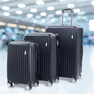 Delegate Suitcases Luggage Set 20" 24" 2