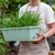 SOGA 49.5cm Green Rectangular Planter with Holder Garden Decor Set of 5