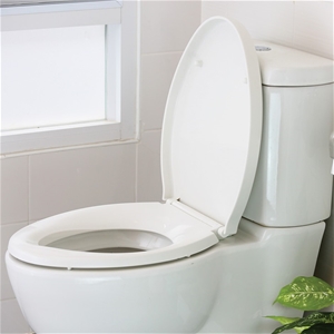 Quick Release Soft Close Toilet Seat Whi