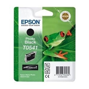 Epson T0541 Photo Black Cartridge for R8
