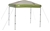 COLEMAN 7' x 5' Instant Shelter Canopy, Green.