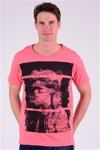 Angry Minds Mens Lioness Short Sleeve Te