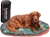 FURHAVEN Pet Dog Bed - Trail Pup Packable Outdoor Travel Pet Camping Pillow