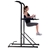 Phoenix Fitness Power Tower Exercise Station