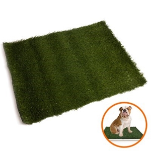 60cm x 75cm Replacement Grass for Pet To