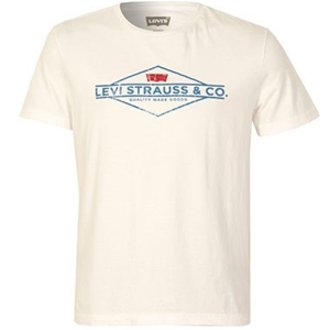 Levi'S Mens Brand Integrated Graphic T-s
